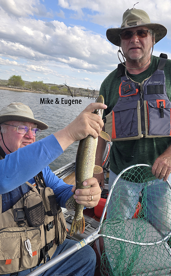 Montana Pikemasters member