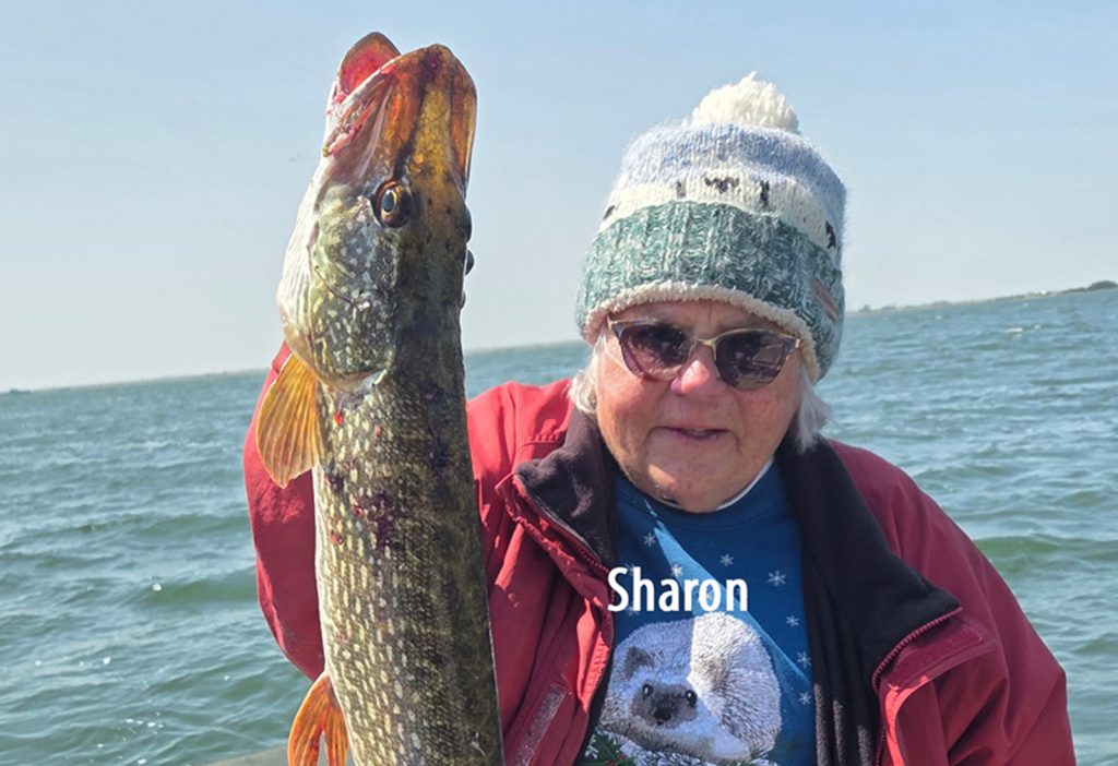 Montana Pikemasters member