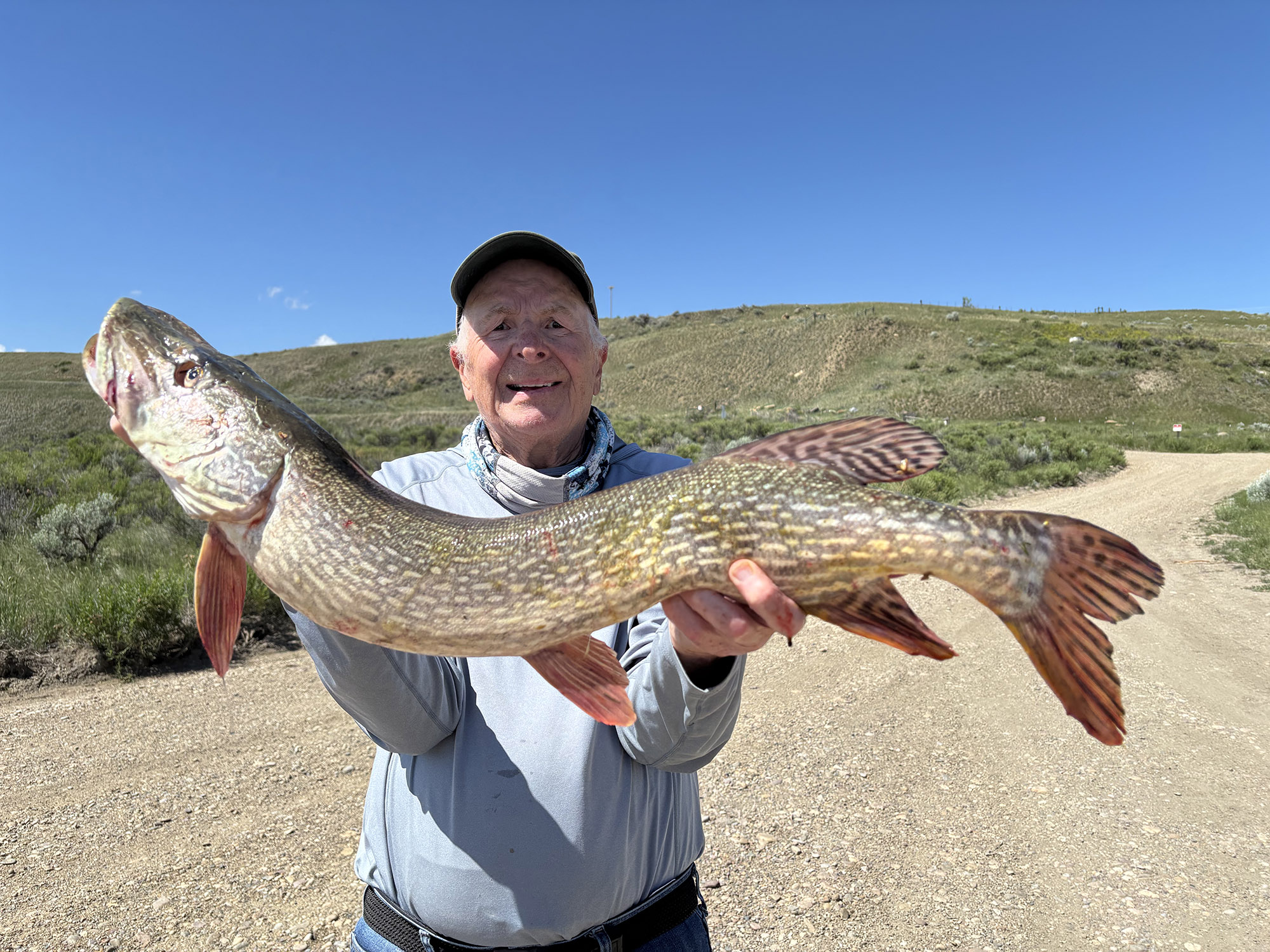 montana pikemasters